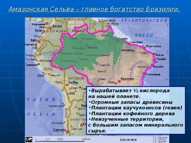 Амазонская Сельва – главное богатство Бразилии.  Вырабатывает ½ кислорода на нашей планете. Огромные запасы древесины Плантации каучуконосов (гевея) Плантации кофейного дерева Неизученные территории, с большим запасом минерального сырья. 