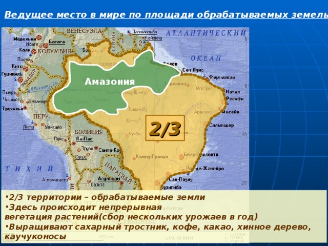 Ведущее место в мире по площади обрабатываемых земель. Амазония 2/3 2/3 территории – обрабатываемые земли Здесь происходит непрерывная вегетация растений(сбор нескольких урожаев в год) Выращивают сахарный тростник, кофе, какао, хинное дерево, каучуконосы 