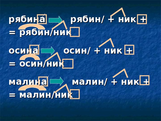  рябина рябин/ + ник + = рябин/ник  осина осин/ + ник + = осин/ник  малина малин/ + ник + = малин/ник  
