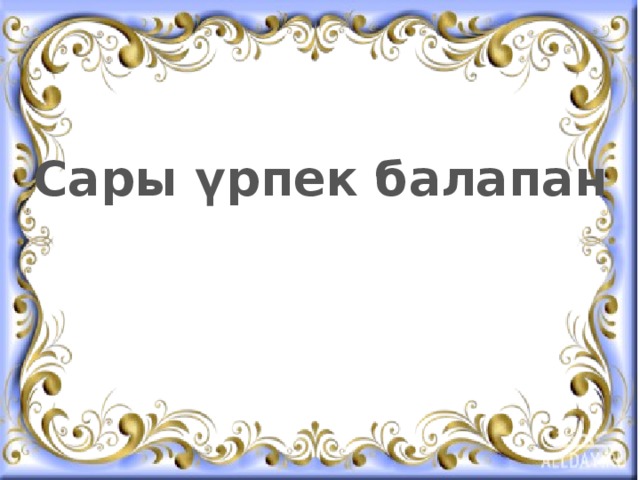 Сары үрпек балапан 