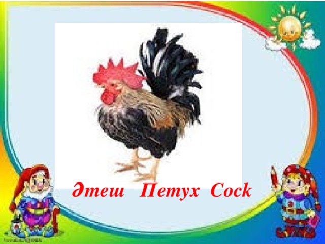 Әтеш Петух Сock 