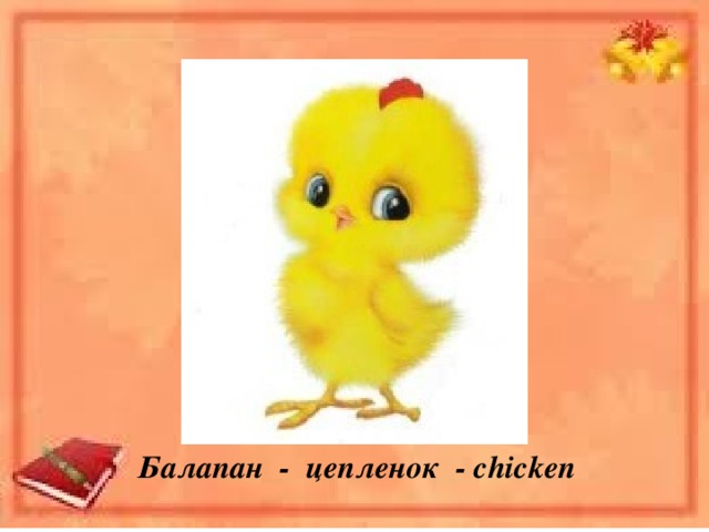 Балапан - цепленок - chicken 