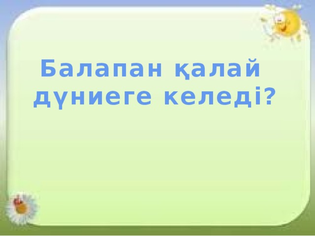 Балапан қалай  дүниеге келеді? 