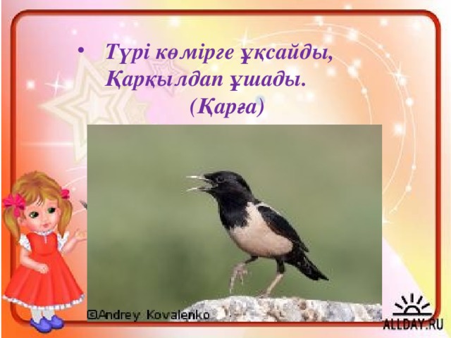 Түрі көмірге ұқсайды,  Қарқылдап ұшады.      (Қарға) 