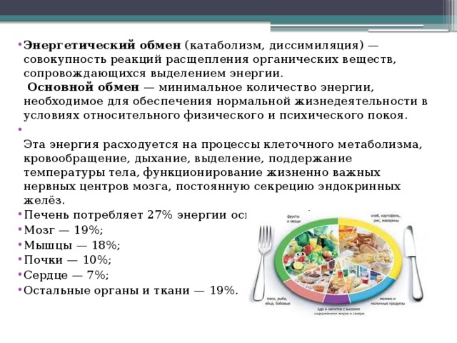 Энергетический обмен  (катаболизм, диссимиляция) — совокупность реакций расщепления органических веществ, сопровождающихся выделением энергии.  Основной обмен  — минимальное количество энергии, необходимое для обеспечения нормальной жизнедеятельности в условиях относительного физического и психического покоя.  Эта энергия расходуется на процессы клеточного метаболизма, кровообращение, дыхание, выделение, поддержание температуры тела, функционирование жизненно важных нервных центров мозга, постоянную секрецию эндокринных желёз. Печень потребляет 27% энергии основного обмена; Мозг — 19%; Мышцы — 18%; Почки — 10%; Сердце — 7%; Остальные органы и ткани — 19%. 
