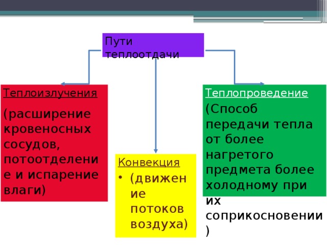 Пути теплоотдачи Теплоизлучения Теплопроведение (расширение кровеносных сосудов, потоотделение и испарение влаги) (Способ передачи тепла от более нагретого предмета более холодному при их соприкосновении) Конвекция (движение потоков воздуха) 