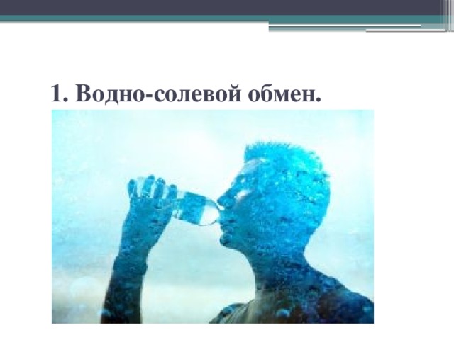 1. Водно-солевой обмен. 
