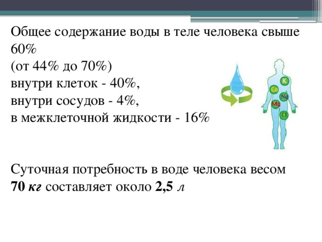   Общее содержание воды в теле человека свыше 60%  (от 44% до 70%)  внутри клеток - 40%,  внутри сосудов - 4%,  в межклеточной жидкости - 16%    Суточная потребность в воде человека весом  70 кг  составляет около 2,5  л      