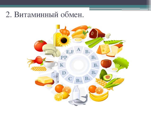 2. Витаминный обмен. 