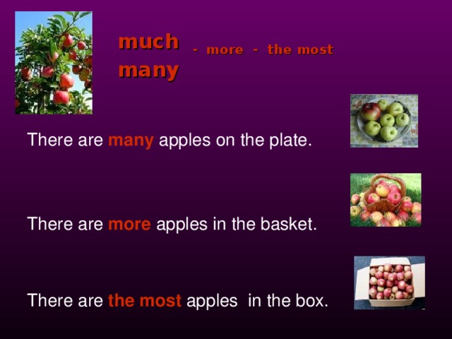 much - more - the most  many  There are  many  apples on the plate. There are  more  apples in the basket. There are  the most  apples in the box. 