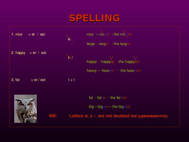 SPELLING 1.  nice  +  er / est  nice  –  nic e er  - the  nic e est     e       large  - larg er  - the  larg est  2.  happy + er / est     y i    i  i       happy -  happy er - the  happy est      heavy  –  heav i er  - the  heav i est 3. fat + er / est t + t       fat -  fat t er  - the  fat t est       big –  big g er – the  big g est     NB! Letters w, x –  are not doubled ( не удваиваются ) . 