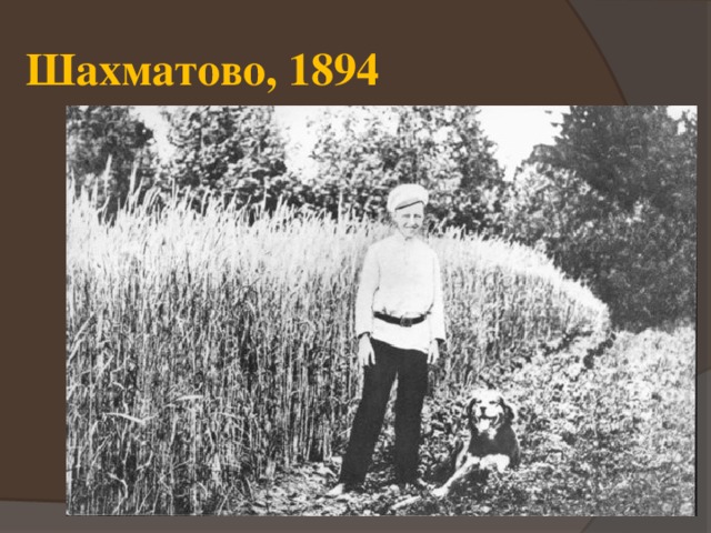 Шахматово, 1894 