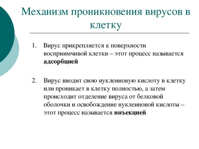 Механизм проникновения вирусов в клетку 1. Вирус прикрепляется к поверхности восприимчивой клетки – этот процесс называется адсорбцией  2.  Вирус вводит свою нуклеиновую кислоту в клетку или проникает в клетку полностью, а затем происходит отделение вируса от белковой оболочки и освобождение нуклеиновой кислоты – этот процесс называется инъекцией 