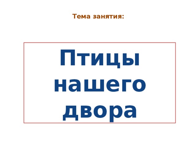  Тема занятия:   Птицы нашего двора 
