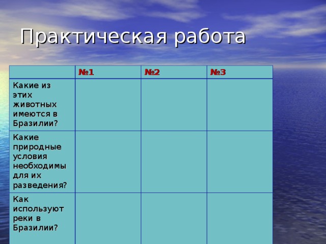 № 1 Какие из этих животных имеются в Бразилии? № 2 Какие природные условия необходимы для их разведения? № 3 Как используют реки в Бразилии? 