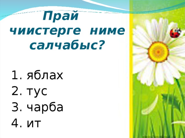     Прай  чиистерге ниме салчабыс? 1. яблах 2. тус 3. чарба 4. ит 