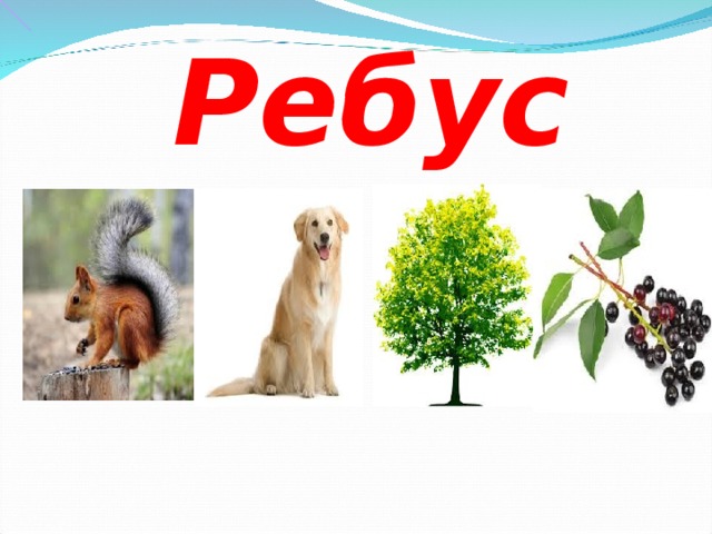     Ребус 