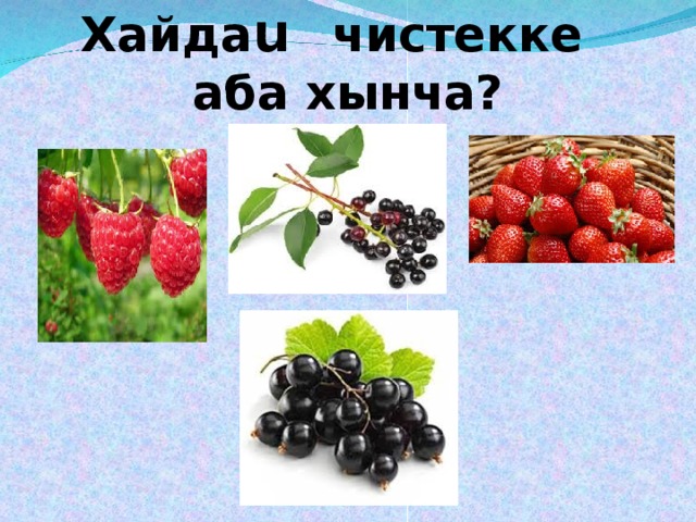 Хайда u  чистекке аба хынча? 