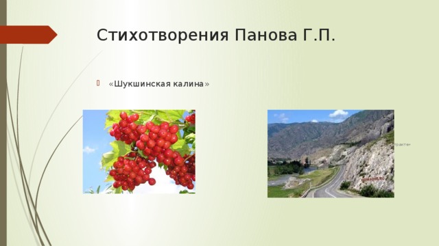 Стихотворения Панова Г.П. «На Чуйском тракте» «Шукшинская калина» 