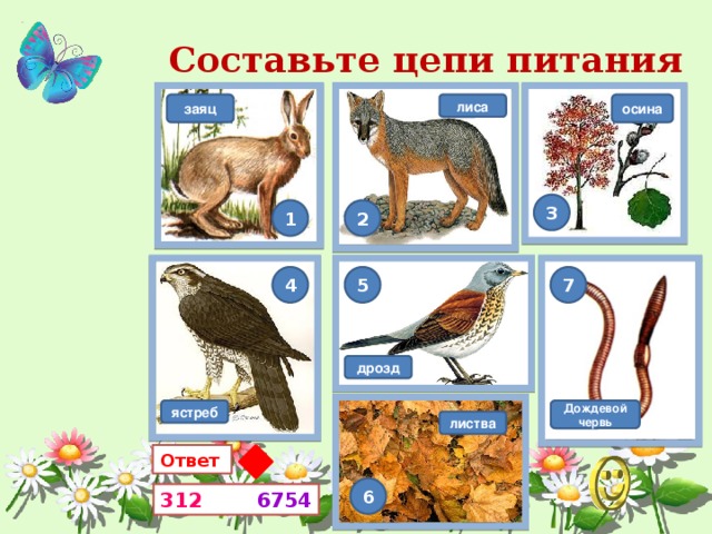 Составьте цепи питания осина лиса заяц 3 1 2 4 5 7 дрозд ястреб Дождевой червь листва Ответ  6 312  6754  
