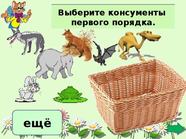 Выберите консументы первого порядка. ещё 