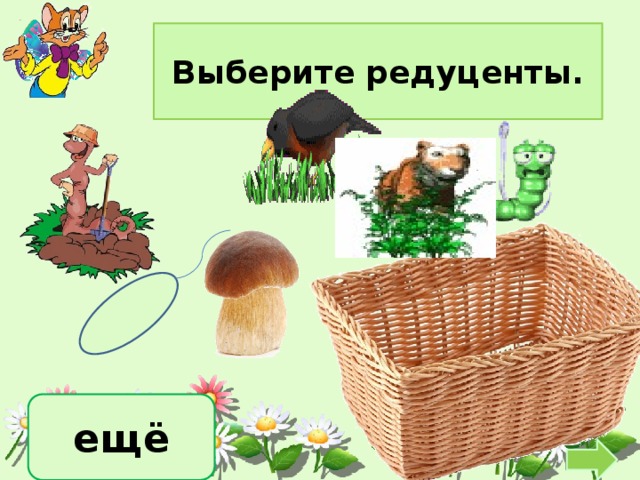 Выберите редуценты. ещё 