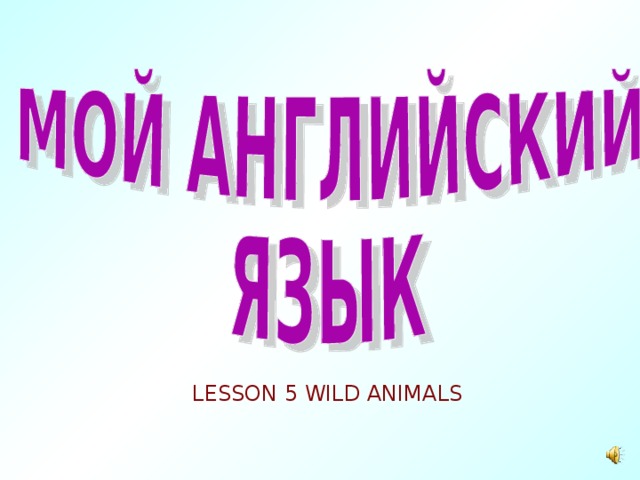 LESSON 5 WILD ANIMALS 