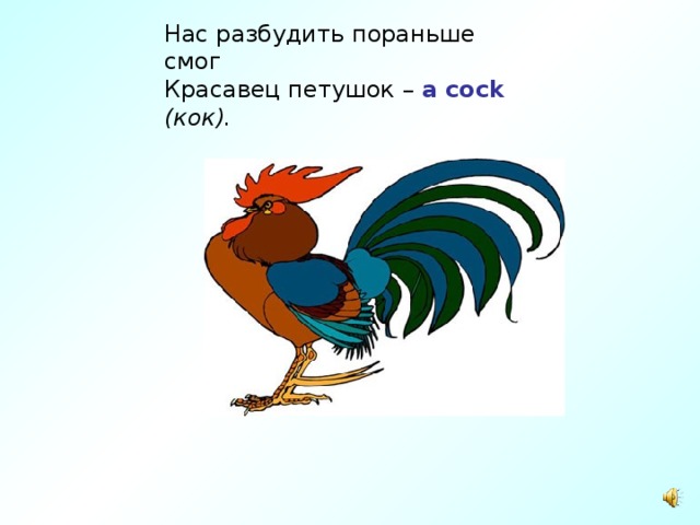 Нас разбудить пораньше смог  Красавец петушок – a cock  (кок). 