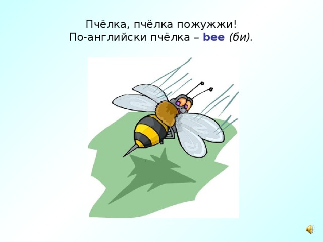 Пчёлка, пчёлка пожужжи!  По-английски пчёлка – bee  (би). 