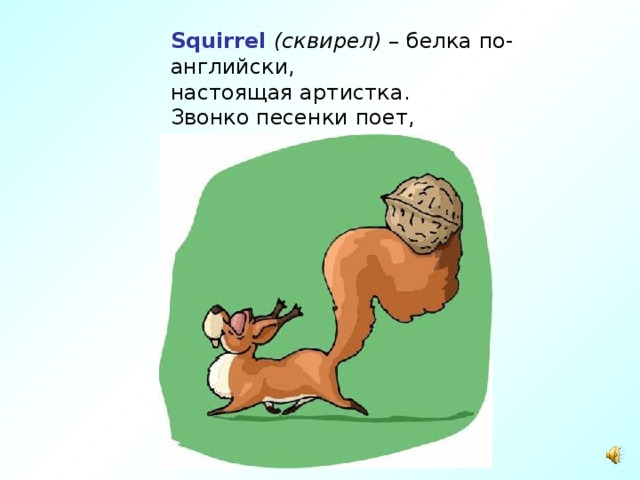 Squirrel  (сквирел)  – белка по-английски,  настоящая артистка.  Звонко песенки поет,  да орешки все грызет.   