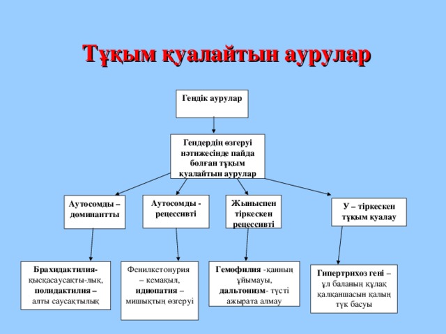 Клайнфельтер синдромы 