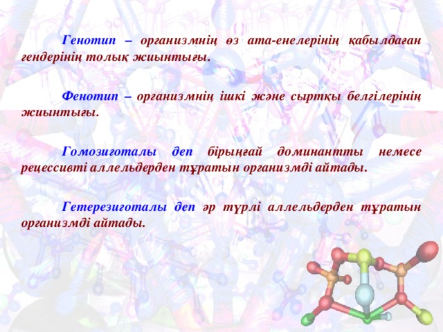  Генотип – организмнің өз ата-енелерінің қабылдаған гендерінің толық жиынтығы.   Фенотип – организмнің ішкі және сыртқы белгілерінің жиынтығы.   Гомозиготалы деп бірыңғай доминантты немесе рецессивті аллельдерден тұратын организмді айтады.   Гетерезиготалы деп әр түрлі аллельдерден тұратын организмді айтады.   
