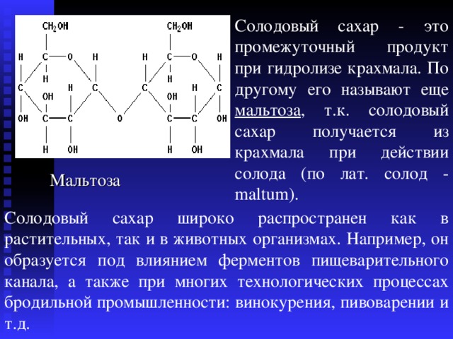 Солодовый сахар - это промежуточный продукт при гидролизе крахмала. По другому его называют еще мальтоза , т.к. солодовый сахар получается из крахмала при действии солода ( по лат. солод - maltum ). Мальтоза Солодовый сахар широко распространен как в растительных, так и в животных организмах. Например, он образуется под влиянием ферментов пищеварительного канала, а также при многих технологических процессах бродильной промышленности: винокурения, пивоварении и т.д. 