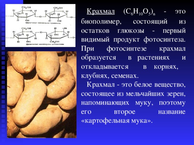 Крахмал  ( C 6 Н 10 О 5 ) n - это биополимер, состоящий из остатков глюкозы - первый видимый продукт фотосинтеза. При фотосинтезе крахмал образуется в растениях и откладывается в корнях, клубнях, семенах. К рахмал - это белое вещество, состоящее из мельчайших зерен, напоминающих муку, поэтому его второе название «картофельная мука». 