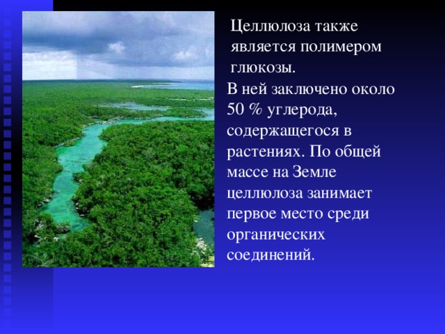 Целлюлоза также является полимером глюкозы. В ней заключено около 50 % углерода, содержащегося в растениях. По общей массе на Земле целлюлоза занимает первое место среди органических соединений.  
