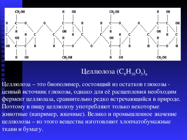Целлюлоза (С 6 Н 10 О 5 ) n Целлюлоза – это биополимер, состоящий из остатков глюкозы - ценный источник глюкозы, однако для её расщепления необходим фермент целлюлаза, сравнительно редко встречающийся в природе. Поэтому в пищу целлюлозу употребляют только некоторые животные (например, жвачные). Велико и промышленное значение целлюлозы – из этого вещества изготовляют хлопчатобумажные ткани и бумагу.  
