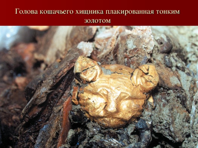  Голова кошачьего хищника плакированная тонким золотом 