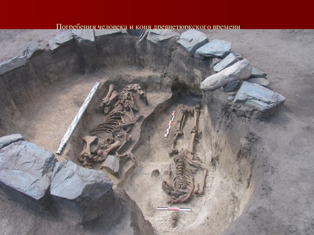  Погребения человека и коня древнетюркского времени 