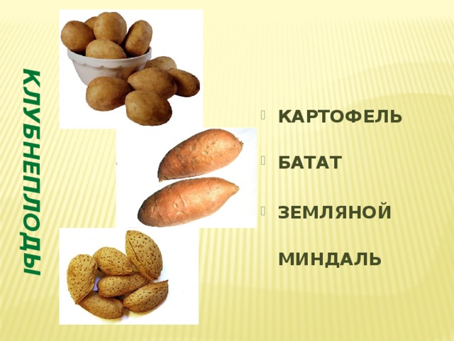 КЛУБНЕПЛОДЫ КАРТОФЕЛЬ БАТАТ ЗЕМЛЯНОЙ МИНДАЛЬ 