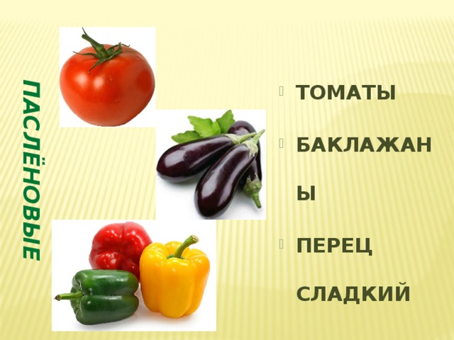 ПАСЛЁНОВЫЕ ТОМАТЫ БАКЛАЖАНЫ ПЕРЕЦ СЛАДКИЙ 