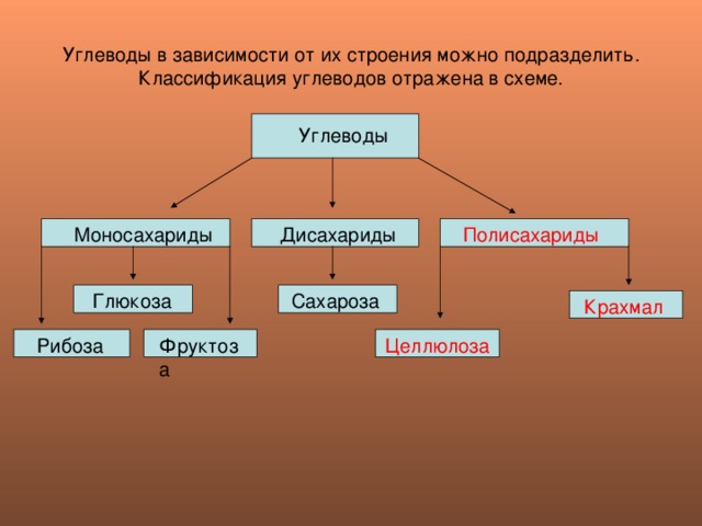 Углеводы в зависимости от их строения можно подразделить.  Классификация углеводов отражена в схеме.  Углеводы  Полисахариды  Моносахариды  Дисахариды  Сахароза  Глюкоза  Крахмал  Рибоза Фруктоза Целлюлоза 