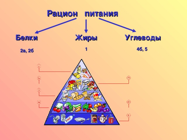 Рацион питания Белки Жиры Углеводы 1 4б, 5 2а, 2б 