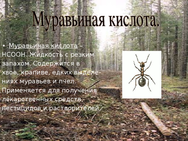 Муравьиная кислота – НСООН. Жидкость с резким запахом. Содержится в хвое, крапиве, едких выделе- ниях муравьев и пчел. Применяется для получения лекарственных средств, пестицидов и растворителей. 