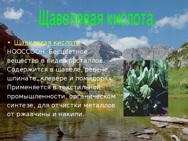 Щавелевая кислота – НООССООН. Бесцветное вещество в виде кристаллов. Содержится в щавеле, ревене, шпинате, клевере и помидорах. Применяется в текстильной промышленности, органическом синтезе, для отчистки металлов от ржавчины и накипи. 