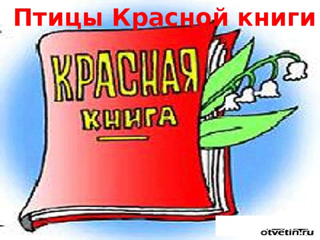 Птицы Красной книги 