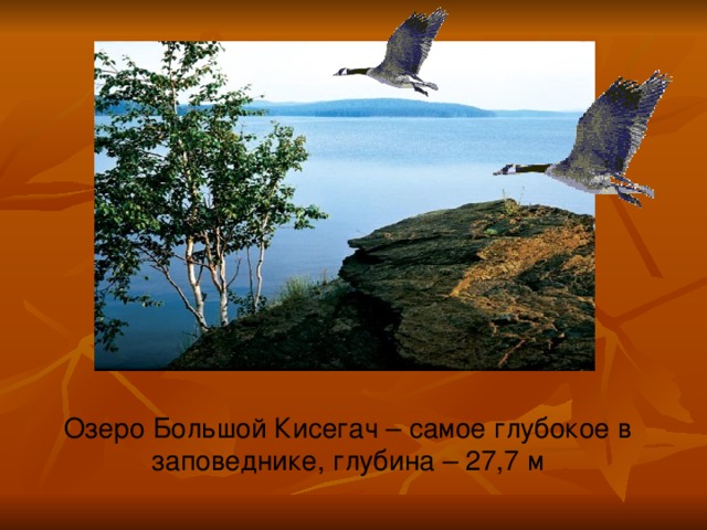 Озеро Большой Кисегач – самое глубокое в заповеднике, глубина – 27,7 м 