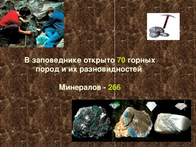В заповеднике открыто 70 горных пород и их разновидностей  Минералов - 266  