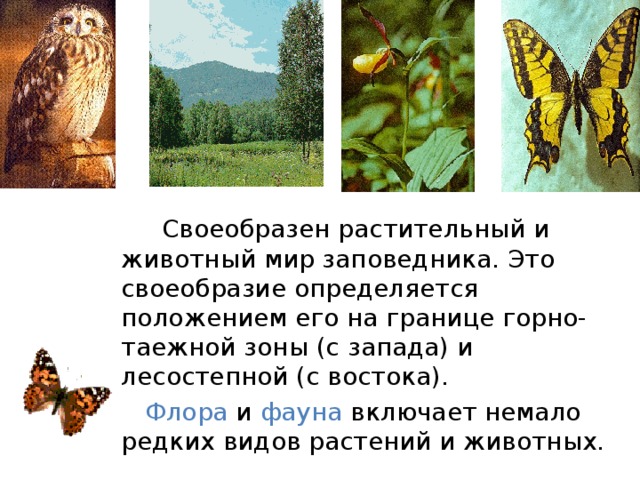   Своеобразен растительный и животный мир заповедника. Это своеобразие определяется положением его на границе горно-таежной зоны (с запада) и лесостепной (с востока).  Флора и фауна включает немало редких видов растений и животных. 