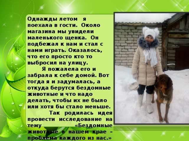  Однажды летом я поехала в гости. Около магазина мы увидели маленького щенка. Он подбежал к нам и стал с нами играть. Оказалось, что его просто кто то выбросил на улицу.  Я пожалела его и забрала к себе домой. Вот тогда я и задумалась, а откуда берутся бездомные животные и что надо делать, чтобы их не было или хотя бы стало меньше.  Так родилась идея провести исследование на тему «Бездомные животные в нашем крае – проблема каждого из нас.» 