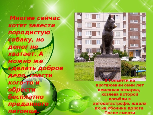         Многие сейчас хотят завести породистую собаку, но денег не хватает. А можно же сделать доброе дело, спасти кого-то и обрести бесплатно преданного питомца.           В Тольятти на протяжении семи лет немецкая овчарка, хозяева которой погибли в автокатастрофе, ждала их на обочине дороги. После смерти преданной собаки люди поставили ей памятник, который посвятили верности 